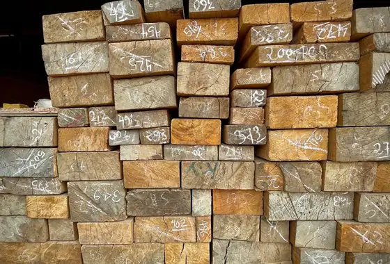 Holz